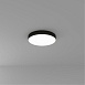 Потолочный светильник Arte Lamp FADO A6650PL-1BK - фото
