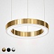 Люстра Light Ring Horizontal D50 Золото Imperiumloft 177929-22 - фото