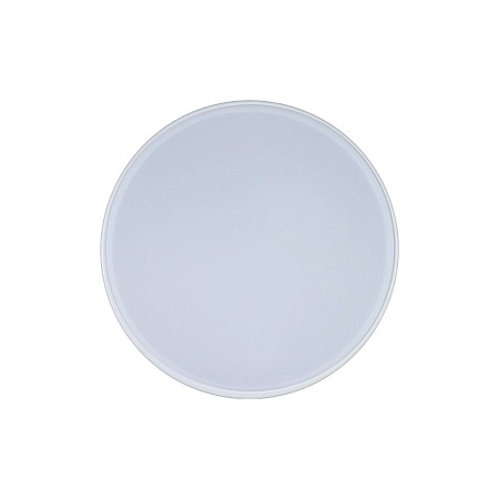 10002/12 White Потолочный светильник LOFT IT Axel - фото