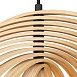 Подвесной светильник Maytoni Roots MOD197PL-01W1 - фото