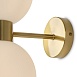 Настенный светильник (бра) Freya Bony FR5394WL-02BS - фото