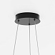 Подвесной светильник Maytoni Rim MOD058PL-L54BK - фото