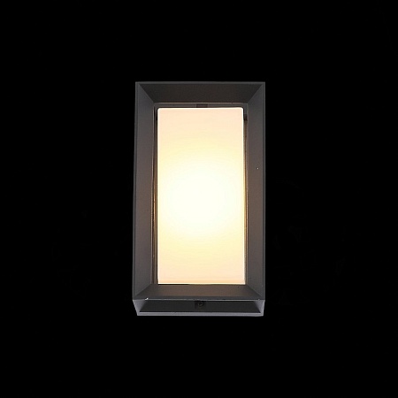 Светильник уличный настенный ST-Luce Черный/Белый LED 1*6W 3000K SL077.411.01 - фото