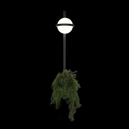 10121W/B Настенный светильник LOFT IT Jardin - фото