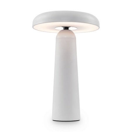 Аккумуляторный светильник Freya FR6109TL-L4W - фото
