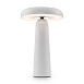 Аккумуляторный светильник Freya FR6109TL-L4W - фото