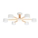 Потолочная люстра Arte Lamp TENDA A1624PL-6WH - фото