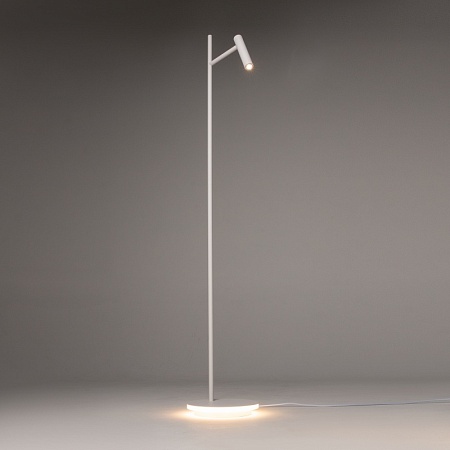 Напольный светильник (торшер) Maytoni Estudo Z010FL-L8W3K - фото