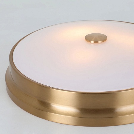 Потолочный светильник Favourite 2375-3C - фото