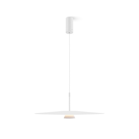 Подвесной светильник Maytoni Platte MOD352PL-L10W3K1 - фото