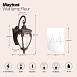 Настенный светильник (бра) Outdoor Fleur O414WL-01BZ - фото