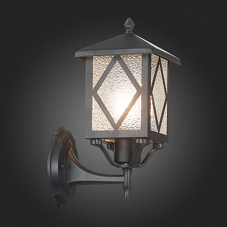 Светильник уличный настенный ST-Luce Черный/Черный, Прозрачный E27 1*60W SL084.401.01 - фото