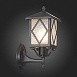 Светильник уличный настенный ST-Luce Черный/Черный, Прозрачный E27 1*60W SL084.401.01 - фото