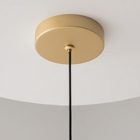 Подвесной светильник Maytoni Pro Focus MOD161PL-01G1 - фото