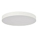 Светильник потолочный Черный LED 1*36W 3000K 3 240Lm Ra>90 120° IP20 D300xH55 180-240V ST606.432.36 - фото