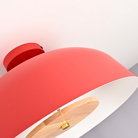 Потолочный Светильник Globemi Red D38 Imperiumloft 307159-26 - фото