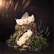 Настенный светильник Divinare ELEANOR 1713/17 AP-12 - фото