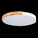 Светильник потолочный Белый, Светлое дерево/Белый LED 1*40W 3000K/4000K/6000K SLE201352-01 - фото