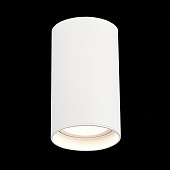 Светильник потолочный Белый LED 1*20W 3000K 1 600Lm Ra&gt;90 60° IP44 D95xH150 220-265V ST157.532.20