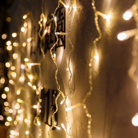 Гирлянда Eurosvet 200-001 теплый белый - фото