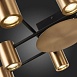 Светильник потолочный ST-Luce Черный/Латунь GU10 10*7W SL1207.402.10 - фото