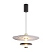 Подвесной светильник Freya Acoustic FR5494PL-L9GR - фото