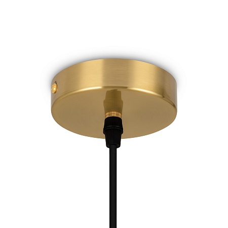 Подвесной светильник Freya Pina FR5387PL-L14BS - фото