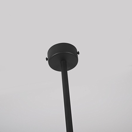 Потолочный Светильник Gordian Black 10W Imperiumloft 213633-23 - фото