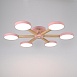 Потолочная Люстра Turna 6 Pink Imperiumloft 178339-26 - фото
