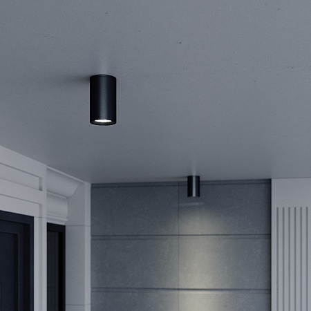 Светильник уличный потолочный ST-Luce серый/белый GU10 1*50W SL9010.712.01 - фото