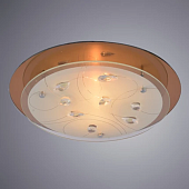 Потолочный светильник Arte Lamp TIANA A4043PL-2CC