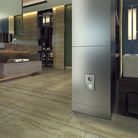 Розетка с заземлением серебряный WL06-SKG-01-IP20 - фото