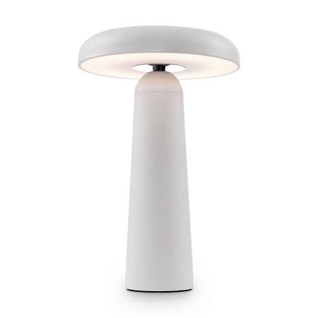 Аккумуляторный светильник Freya FR6109TL-L4W - фото