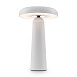 Аккумуляторный светильник Freya FR6109TL-L4W - фото