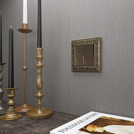 Клавиша для выключателя c подсветкой (бронзовый) W1119112 - фото