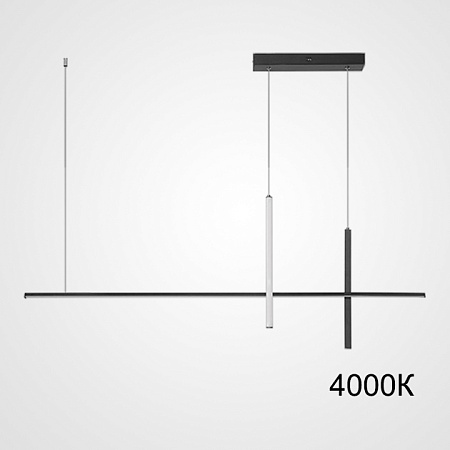 Подвесной Светильник Squirrel L120 Black 4000К Imperiumloft 220665-23 - фото
