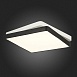 Светильник потолочный Черный, Белый/Белый LED 1*45W 3000K/4000K/6000K SLE200712-01 - фото