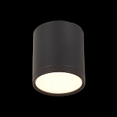 Светильник потолочный Черный LED 1*5W 3000K 390Lm Ra&gt;90 120° IP20 D68xH75 170-240V ST113.432.05