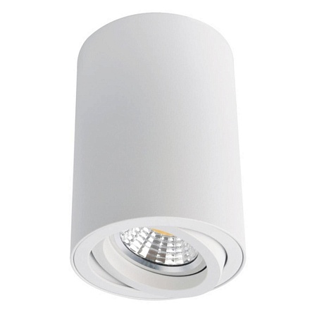 Точечный накладной светильник Arte Lamp SENTRY A1560PL-1WH - фото