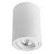 Точечный накладной светильник Arte Lamp SENTRY A1560PL-1WH - фото