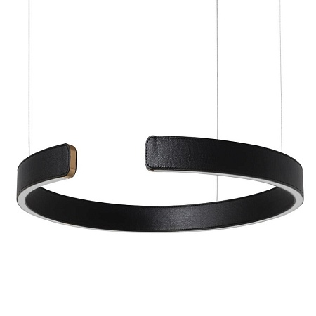 10025/400 Black Подвесной светильник LOFT IT Ring - фото