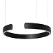 10025/400 Black Подвесной светильник LOFT IT Ring - фото
