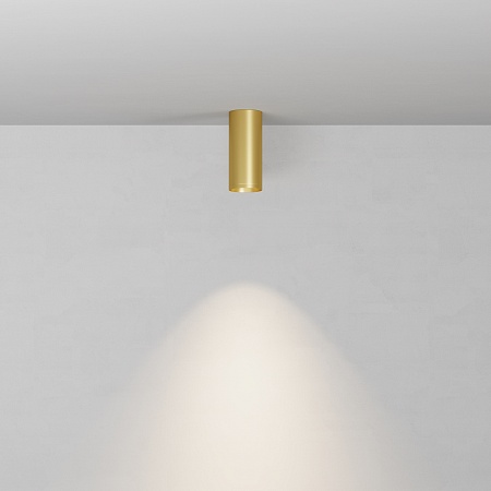 Потолочный светильник Technical C010CL-01MG-N - фото