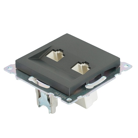 Розетка компьютерная 2-местная RJ-45 (механизм) STEKKER GLS00-7109-06 , серия Катрин, графит - фото