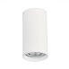 Светильник потолочный Белый LED 1*15W 3000K 1 200Lm Ra>90 60° IP44 D75xH140 220-265V ST157.532.15 - фото