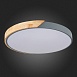Светильник потолочный Серый, Светлое дерево/Белый LED 1*45W 3000K/4000K/6000K SLE200972-01 - фото