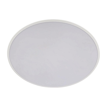 10226 White Потолочный светильник LOFT IT Brim - фото