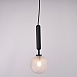Подвесной Светильник Raffin Black/Transparent Imperiumloft 177910-26 - фото