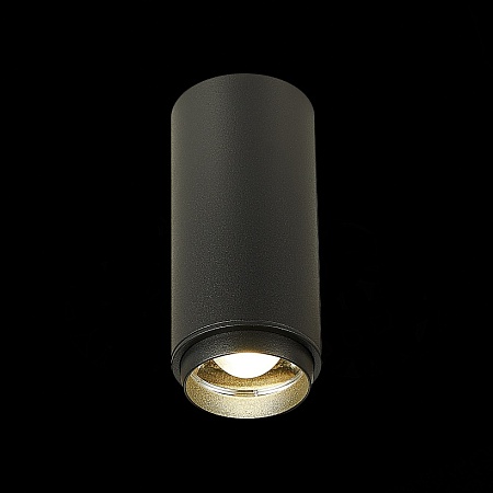 Светильник потолочный Zoom Черный LED 1*10W 4000K 1 000Lm Ra>80 15-60° IP20 D59xH130 17 ST600.442.10 - фото