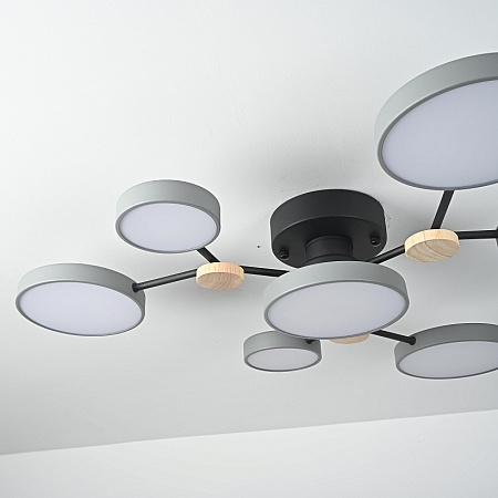 Потолочная Люстра Gamma D88 Grey Imperiumloft 223765-23 - фото